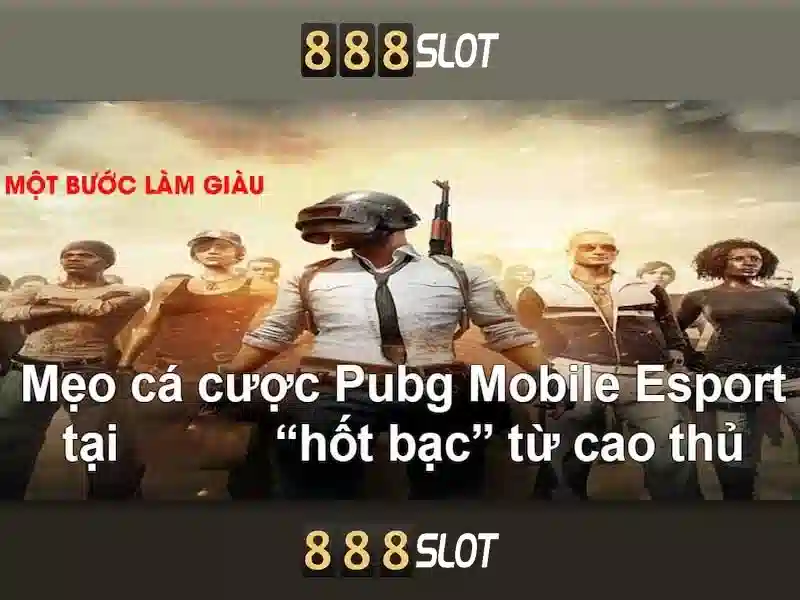Nền tảng và trải nghiệm người dùng