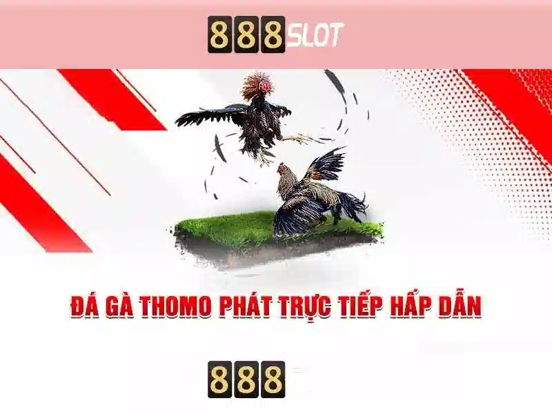 888slot: Nền tảng casino trực tuyến đáng tin cậy
