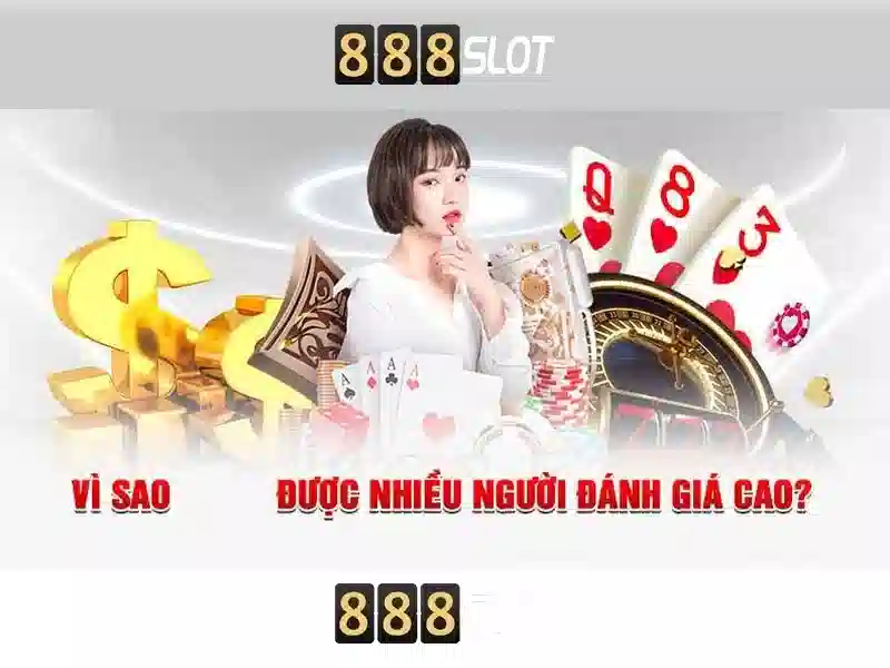 Khuyến mãi và hỗ trợ khách hàng