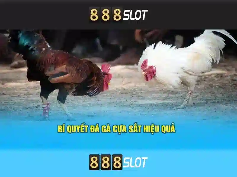 Mẹo chơi bắn cá 3 cây dễ ăn tiền nhà cái