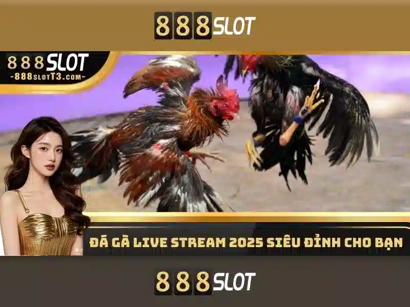 cash slot 888 – Tóm lược chủ đề và giá trị cốt lõi
