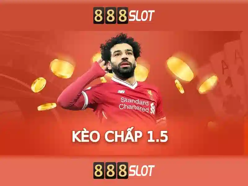 Trải nghiệm người dùng và phản hồi cộng đồng Trải nghiệm người dùng và phản hồi cộng đồng