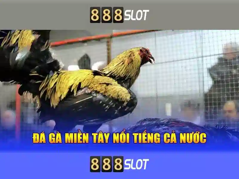 wallet 888 slot – Trải nghiệm và đột phá chơi slot