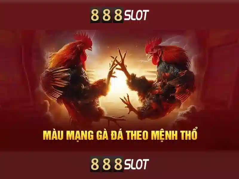 Trò chơi và slot hàng đầu