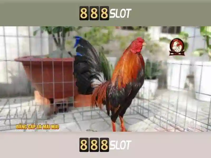 ini 888 slot: Nền tảng casino online uy tín và trải nghiệm đỉnh