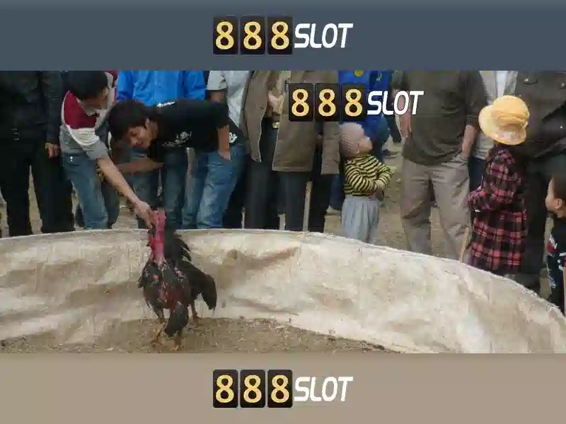 888slot - Tổng quan và trải nghiệm chơi slot trực tuyến