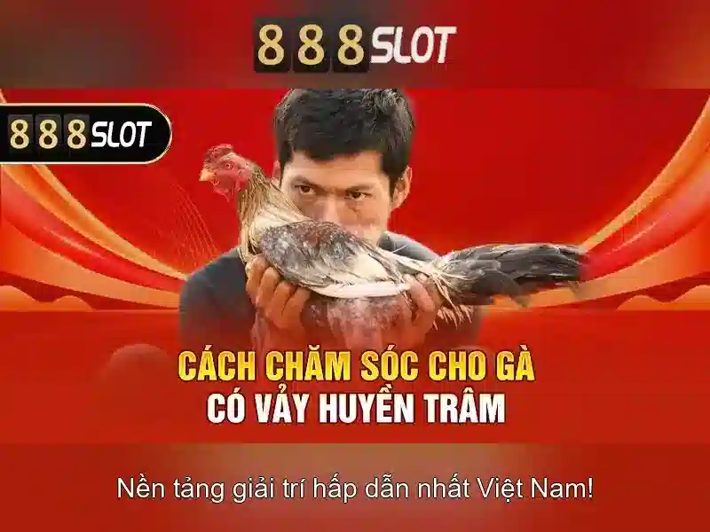 Cung cấp game và danh mục slots