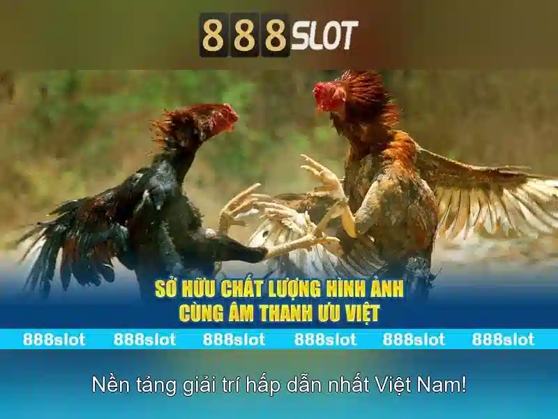Quản lý tài khoản và nạp tiền\n