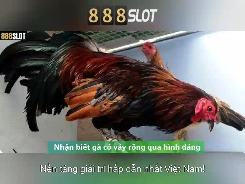 Giới thiệu về 888slot