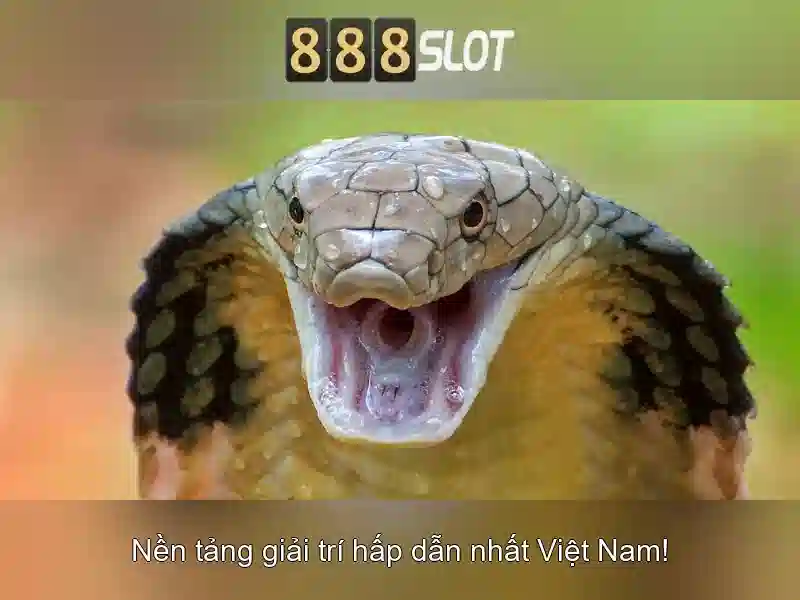 Khuyến mãi và hỗ trợ