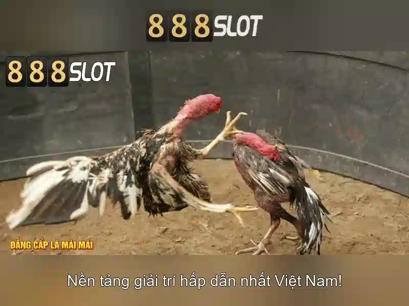 888slot: Khám phá nền tảng slot hàng đầu