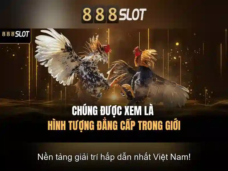 888slot: Đánh giá và trải nghiệm nền tảng slot trực tuyến