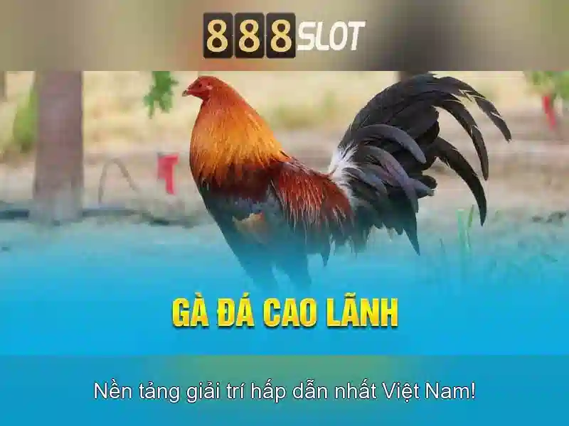 Giới thiệu 888slot apk ios