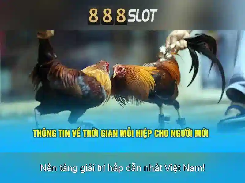 Các trò chơi và trải nghiệm người dùng\n