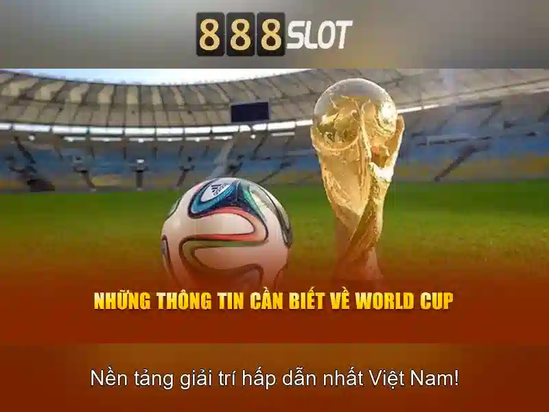 Chính sách bảo mật và thanh toán