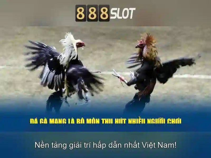 Tại sao 888slot nổi bật